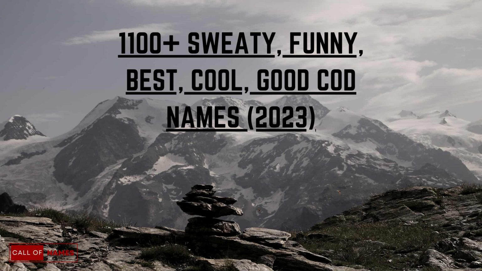 1100-sweaty-funny-best-cool-good-cod-names-2024