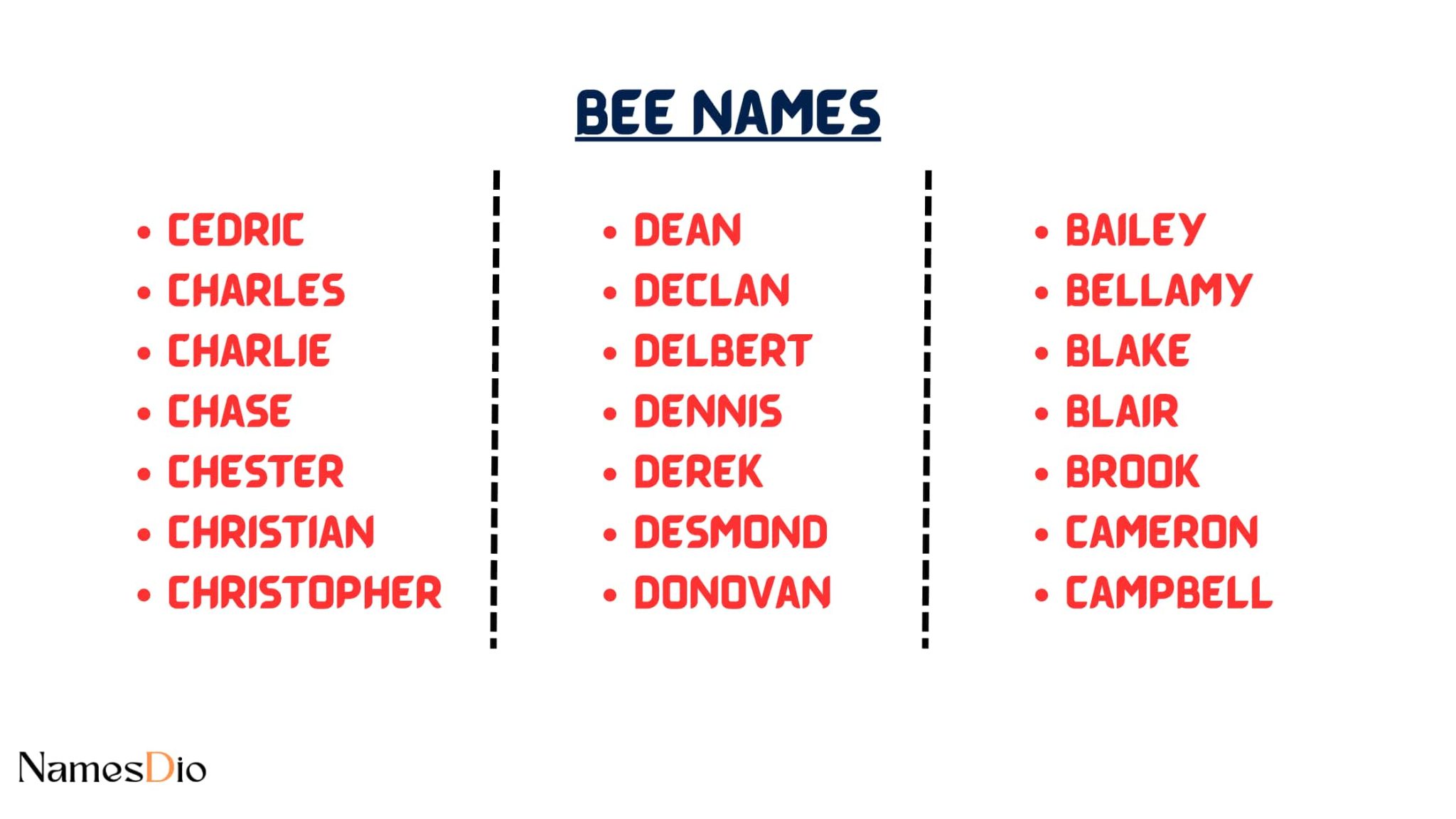 Bee Names 1000+ Best, Cute, Honey & Queen Bee Names NamesDio