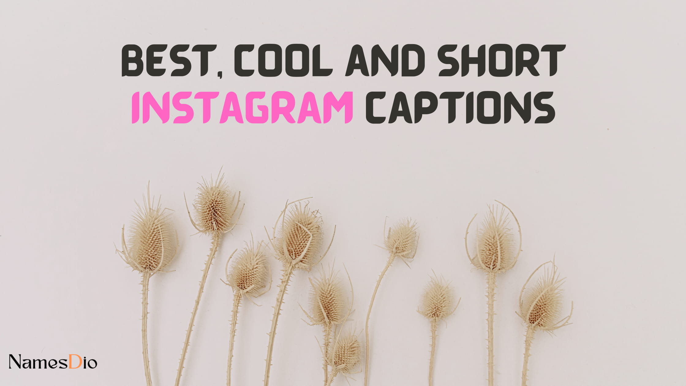Best-Cool-and-Short-Instagram-Captions