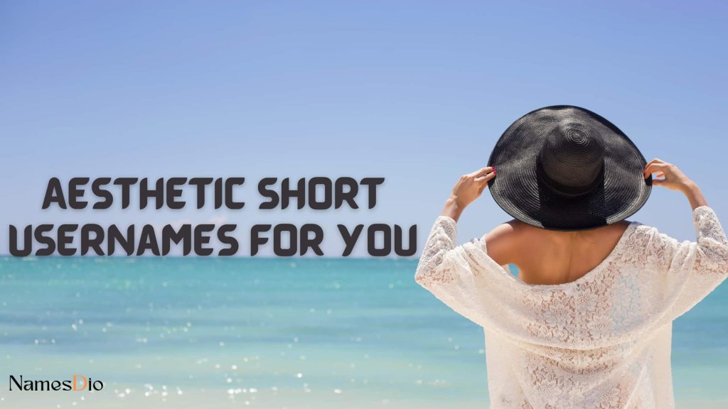 620+ Aesthetic Short Usernames For You - NamesDio