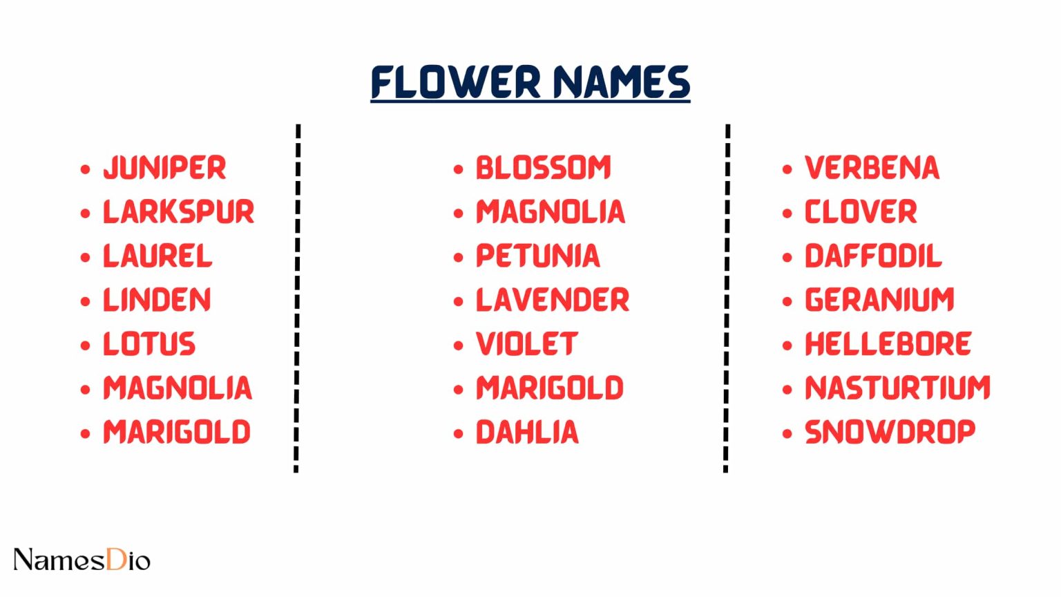 100-beautiful-baby-flower-names-namesdio