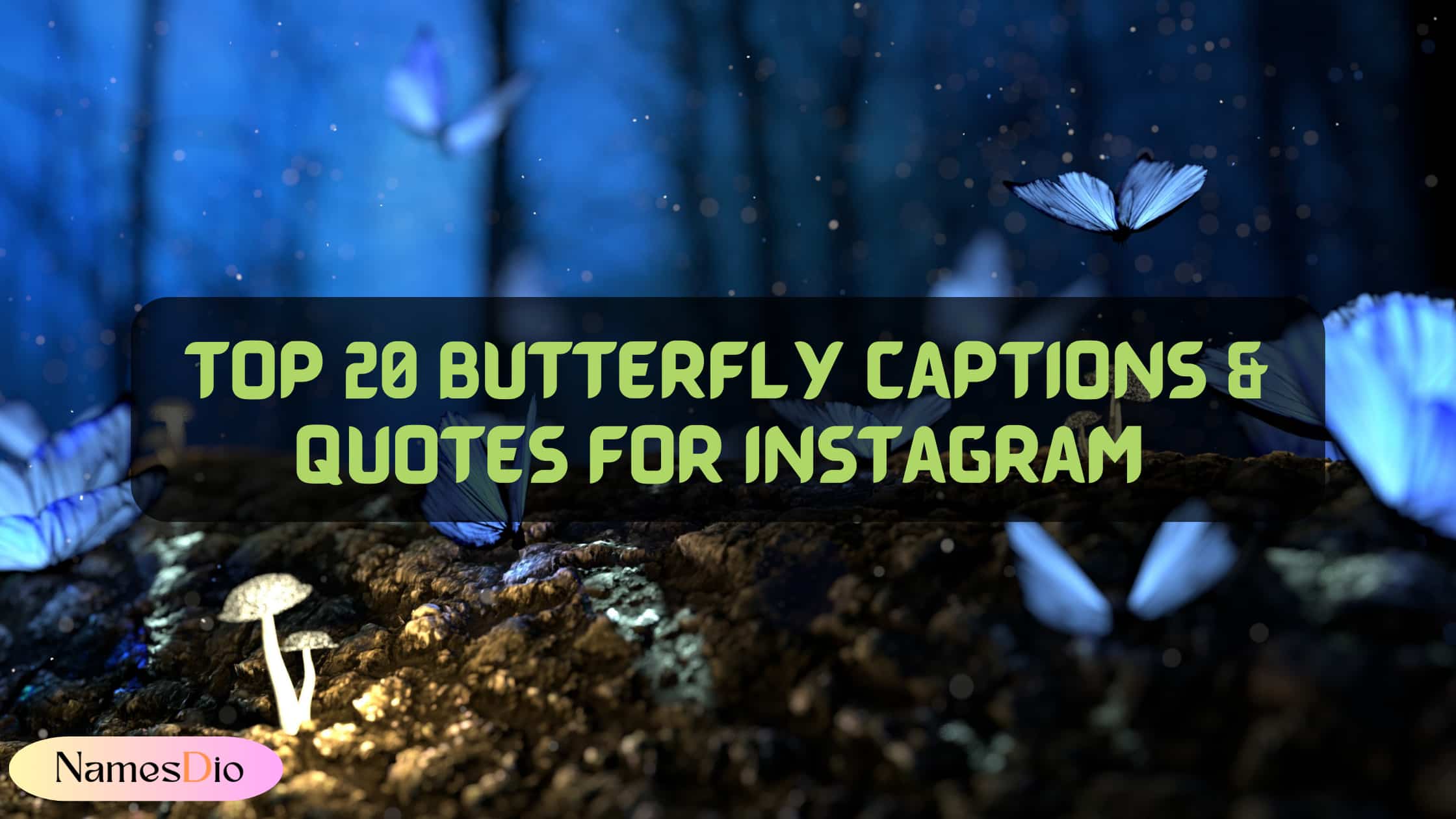 Top-20-Butterfly-Captions-for-Instagram-Quotes