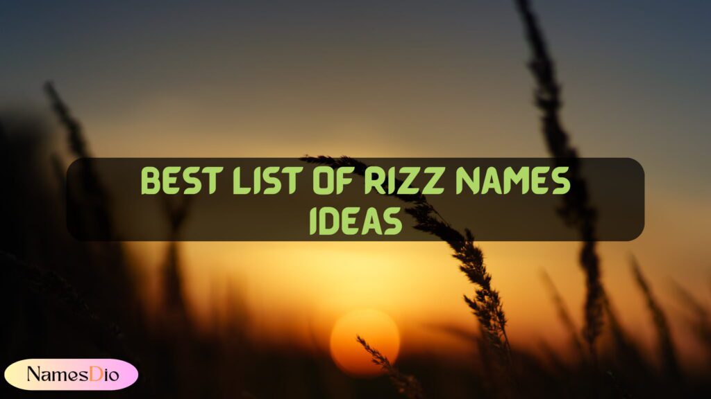 Best List of Rizz Names Ideas (Funny, Good) 2024 NamesDio