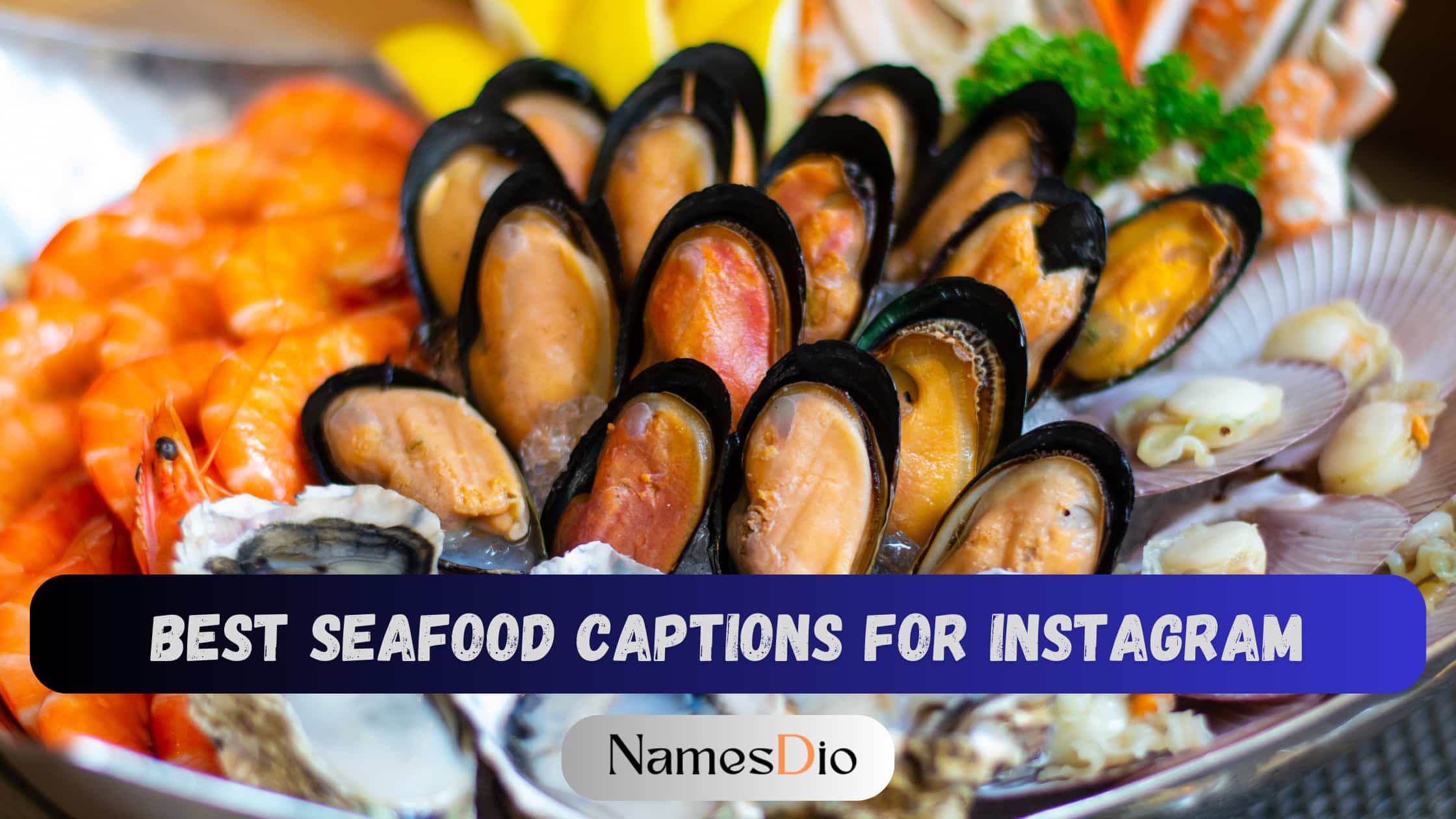 Best-Seafood-Captions-for-Instagram