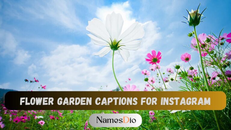 250+ Best Flower Garden Captions for Instagram - Namesdio