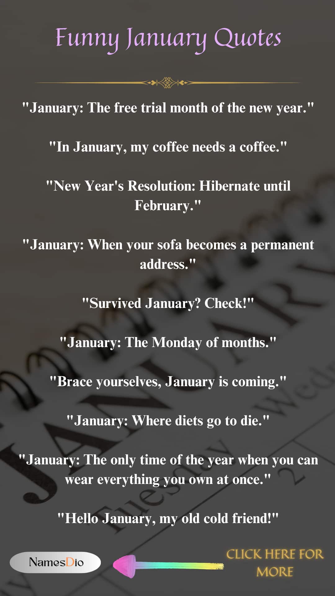 Funny-January-Quotes