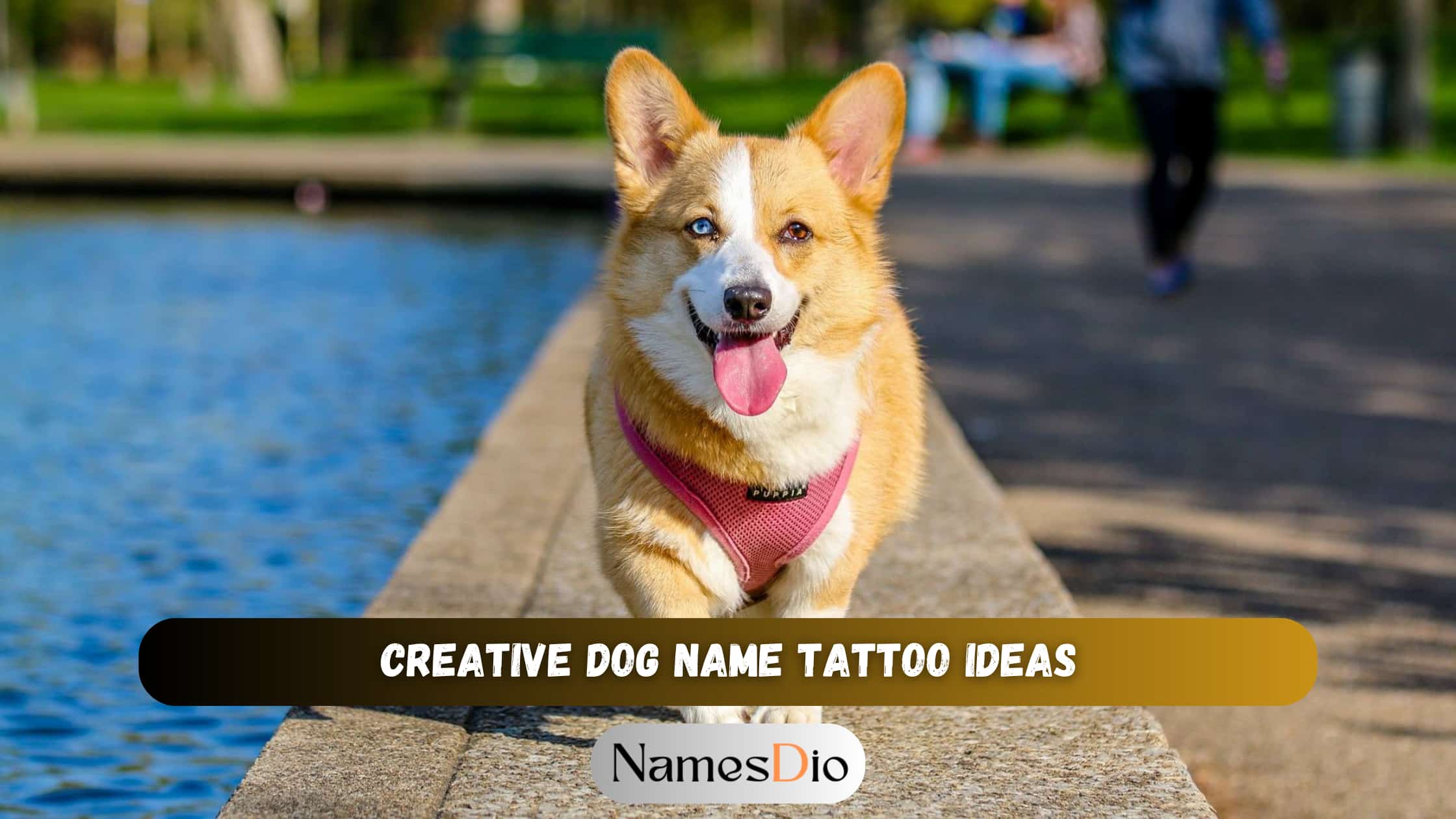 Creative-Dog-Name-Tattoo-Ideas