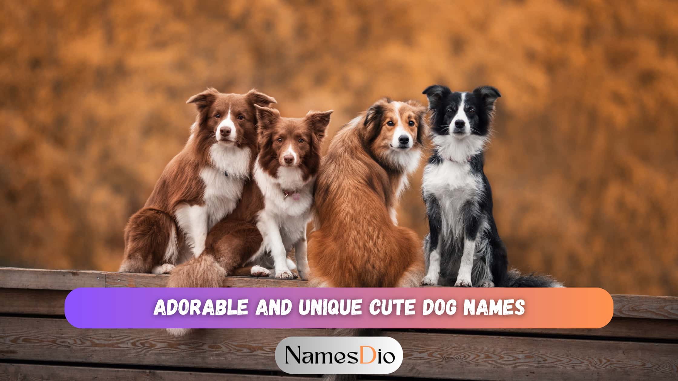 Cute-Dog-Names