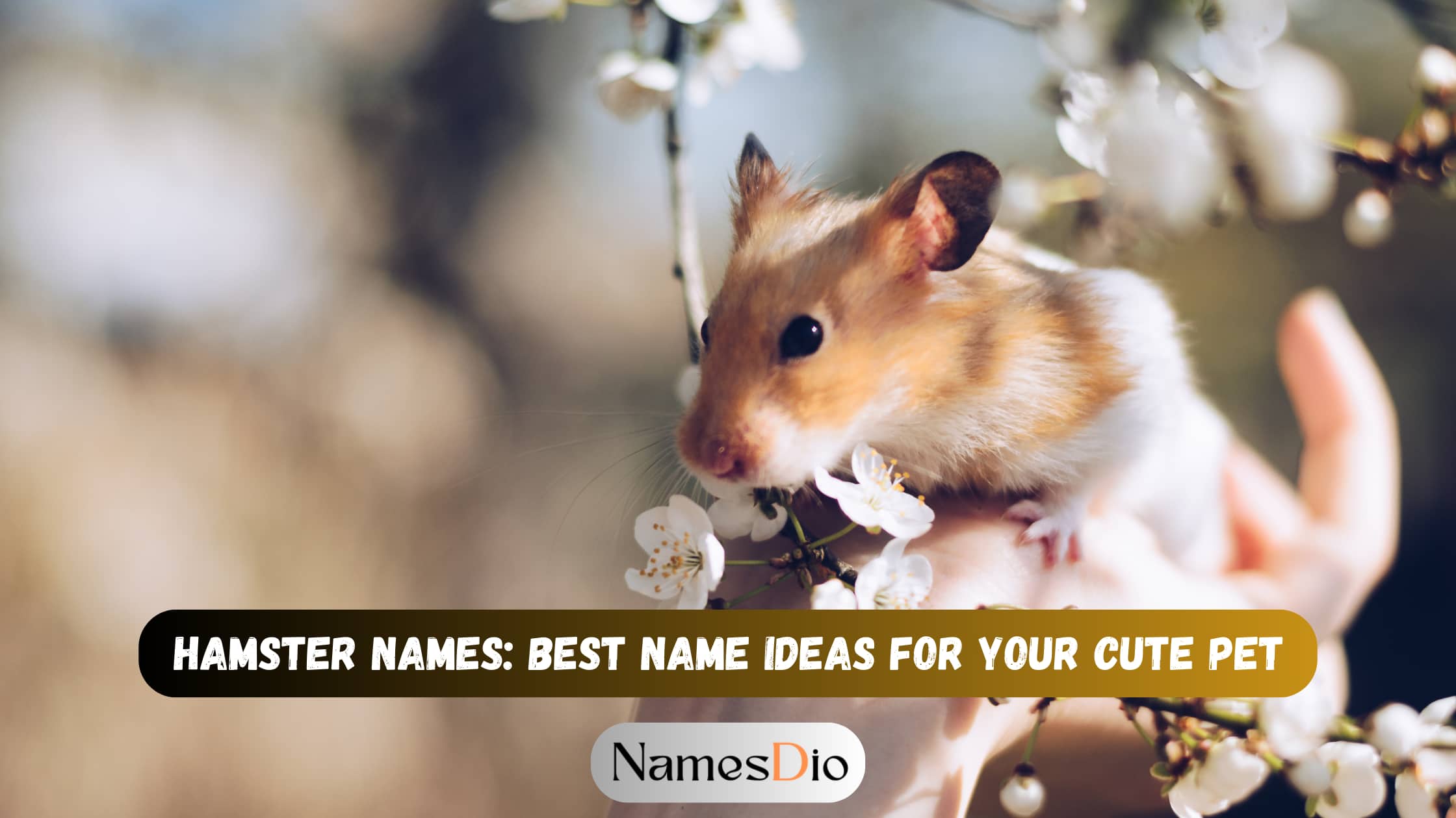 Hamster-Names