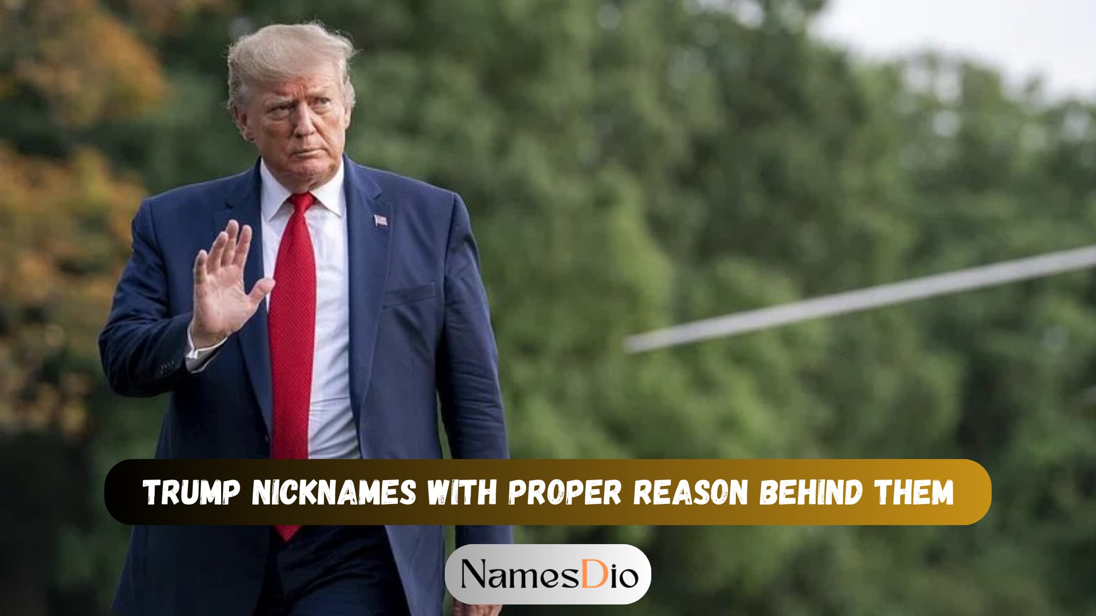 Trump-Nicknames